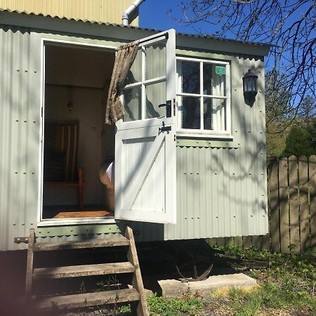 Posh Huts Farmstay Falstone Екстериор снимка