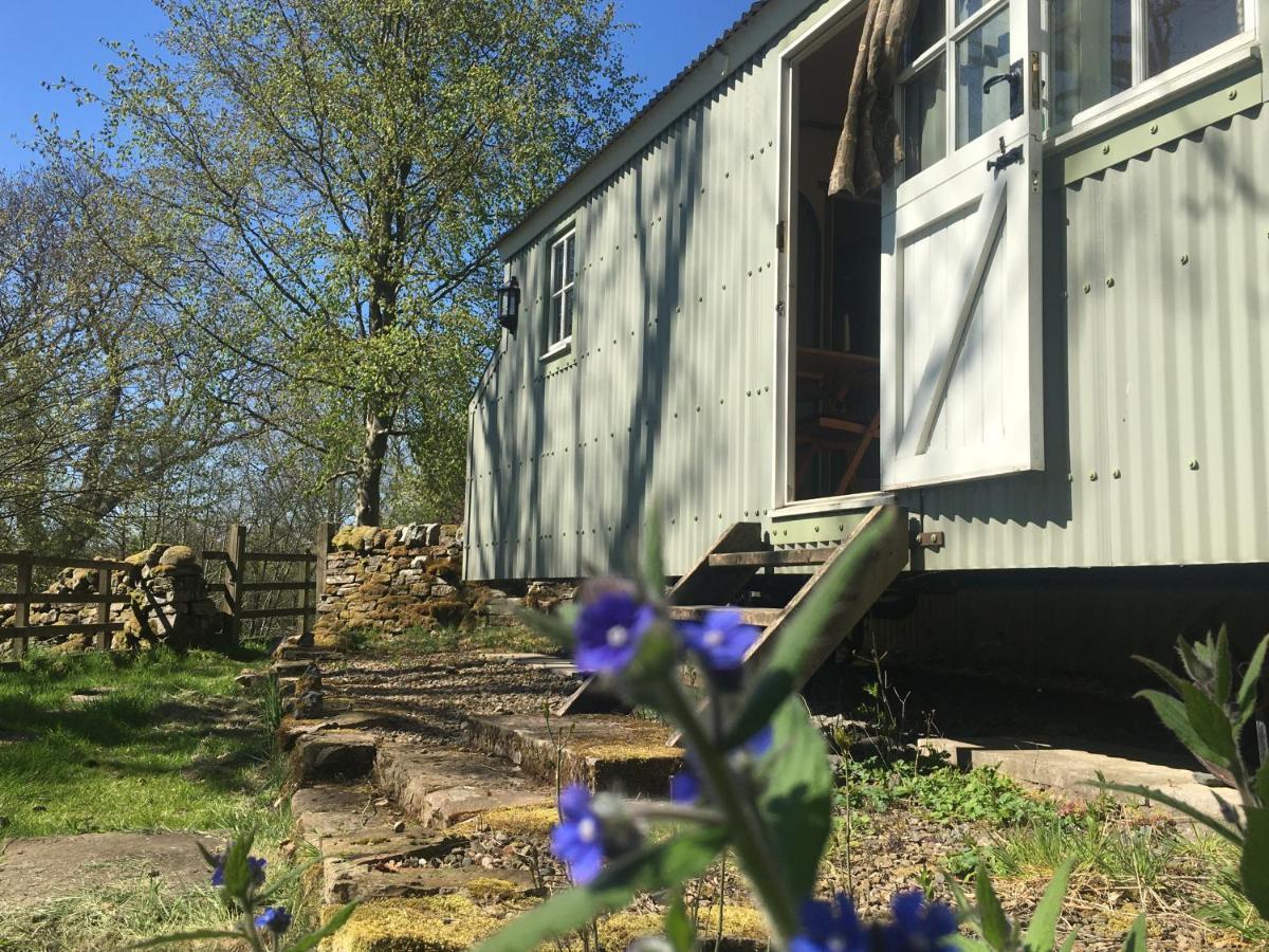 Posh Huts Farmstay Falstone Екстериор снимка