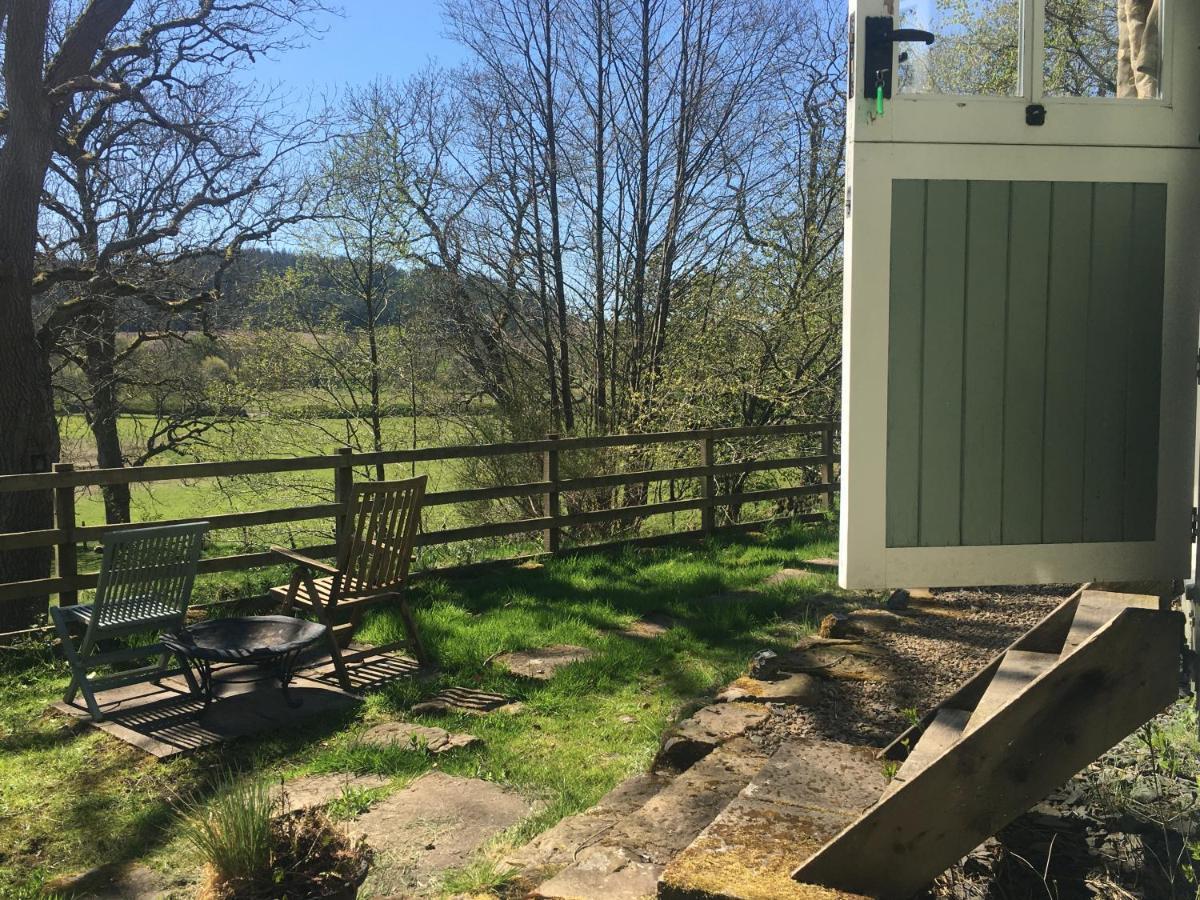 Posh Huts Farmstay Falstone Екстериор снимка