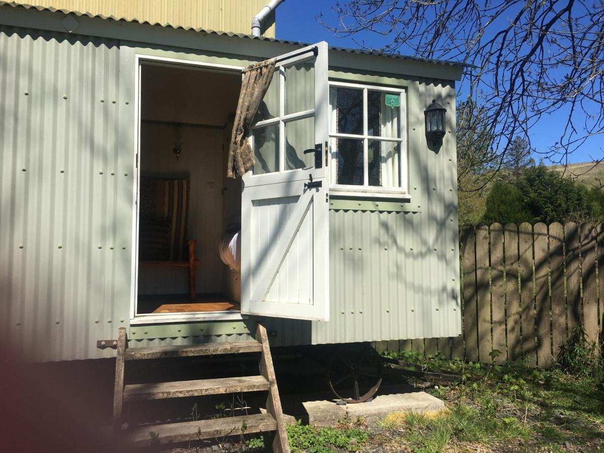 Posh Huts Farmstay Falstone Екстериор снимка