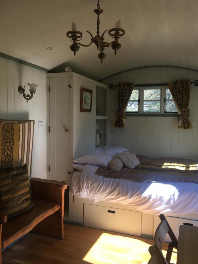 Posh Huts Farmstay Falstone Екстериор снимка