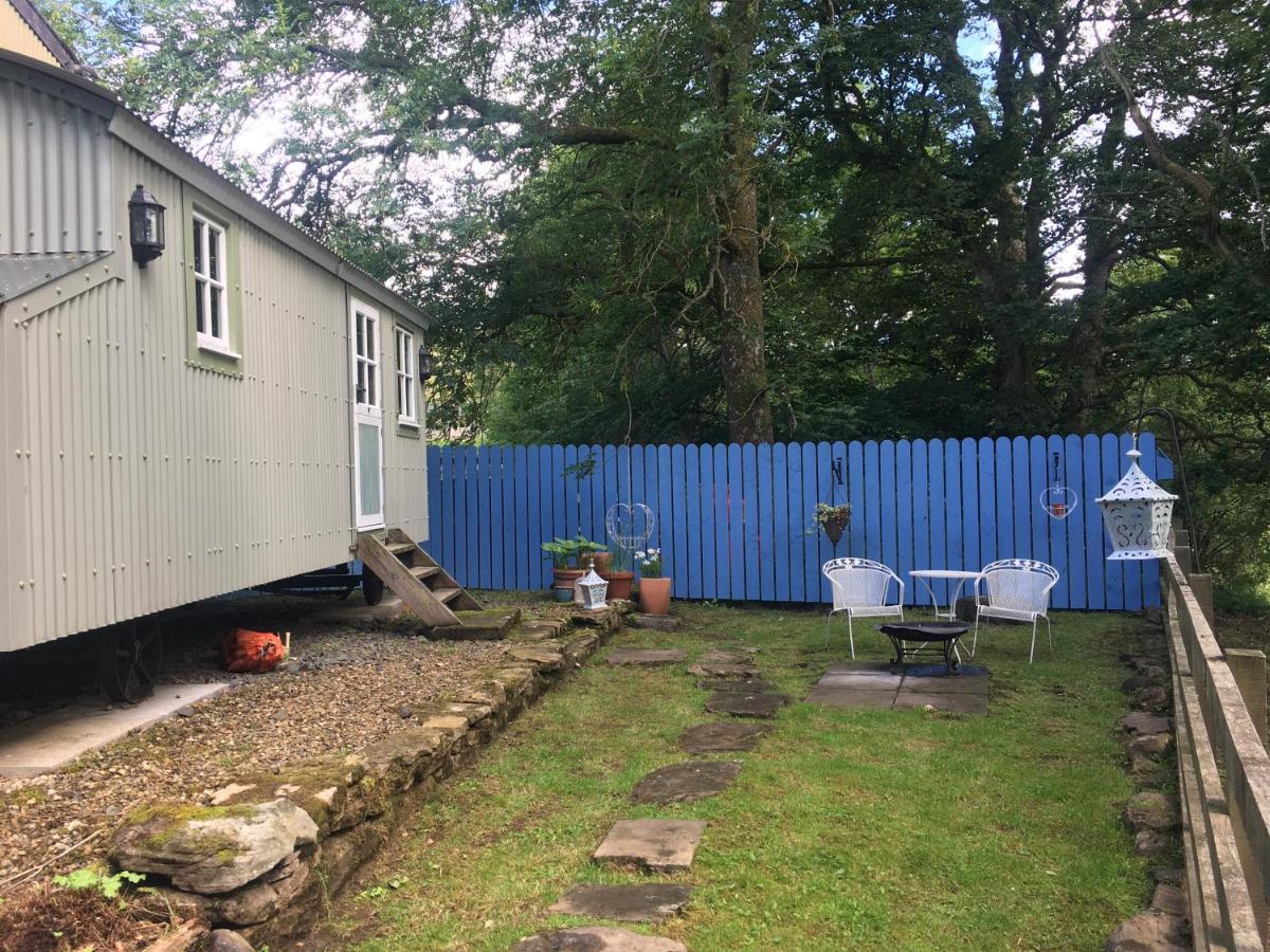 Posh Huts Farmstay Falstone Екстериор снимка