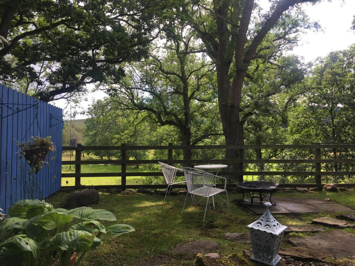 Posh Huts Farmstay Falstone Екстериор снимка